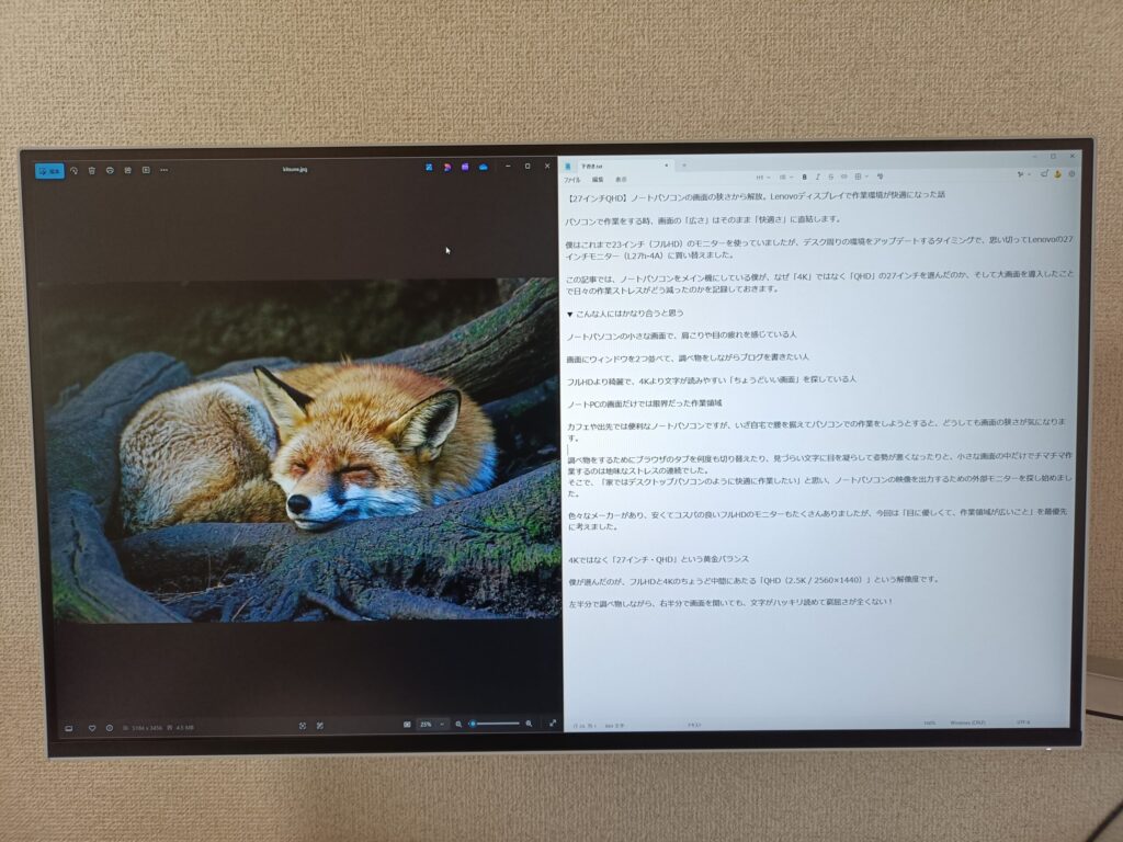 Lenovo L27q-4A モニター (27.0インチ IPS WLED液晶 QHD 100Hz 1ms 非光沢 チルト対応 VESA) グレー 2画面表示テスト