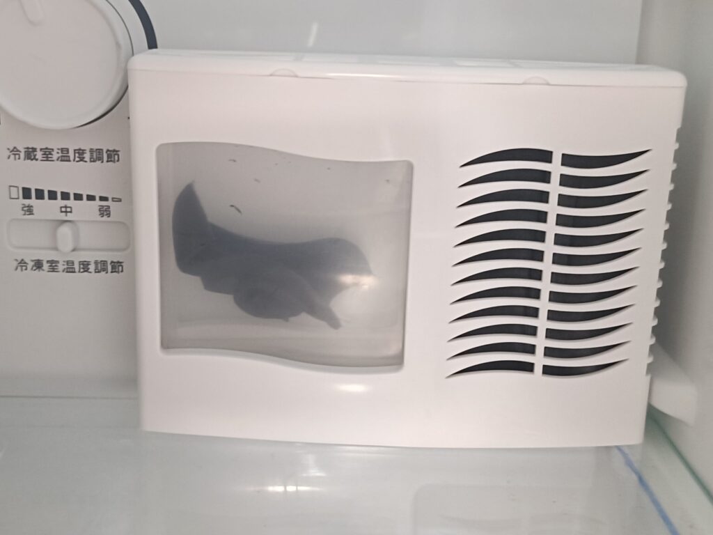 ハイセンスの冷蔵庫の奥に置かれた小林製薬のキムコ